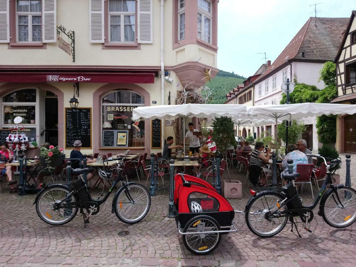Appartamento Le Sigold Kaysersberg-Vignoble Esterno foto